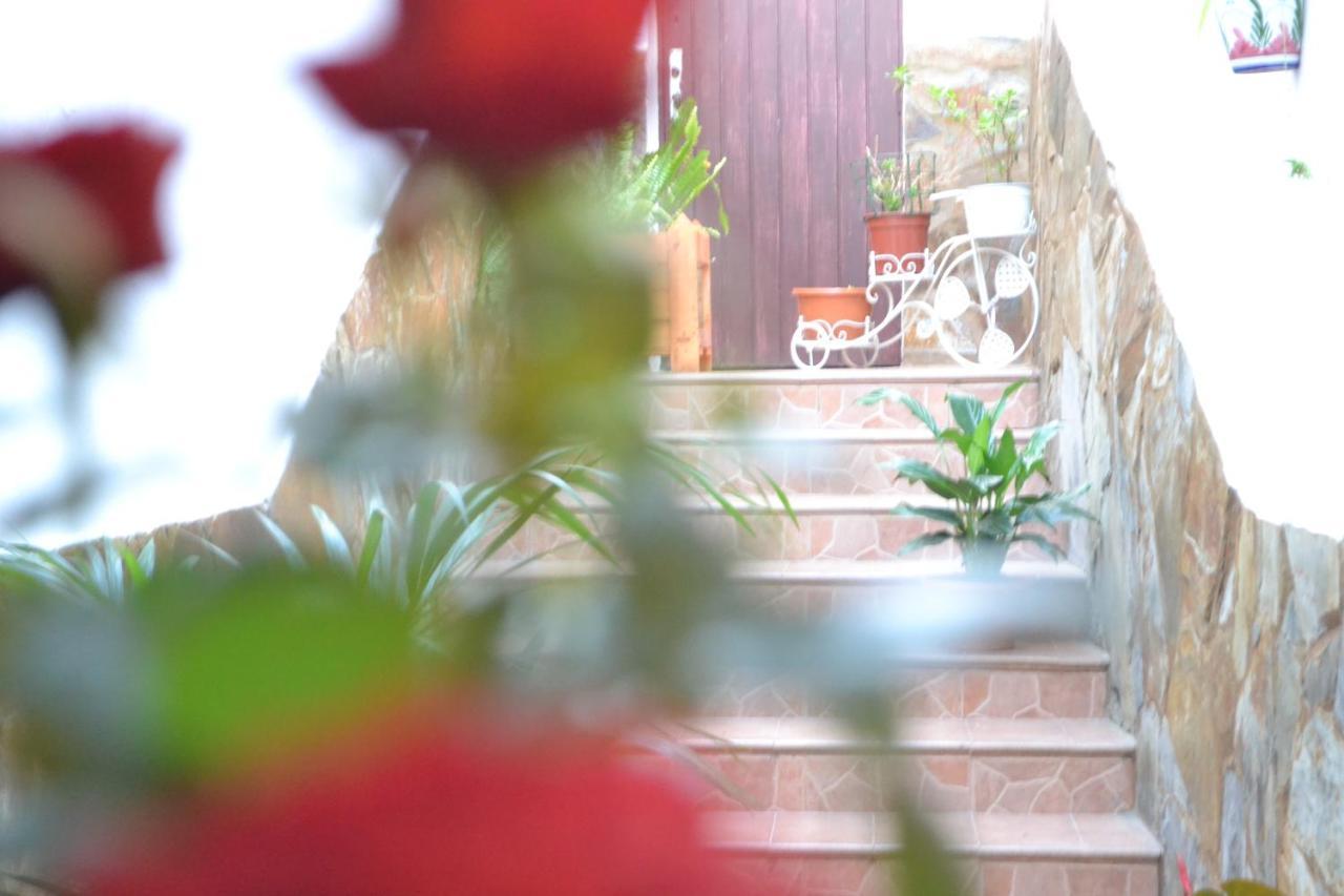 فندق Casa Alamo Agaete أَغايتي المظهر الخارجي الصورة